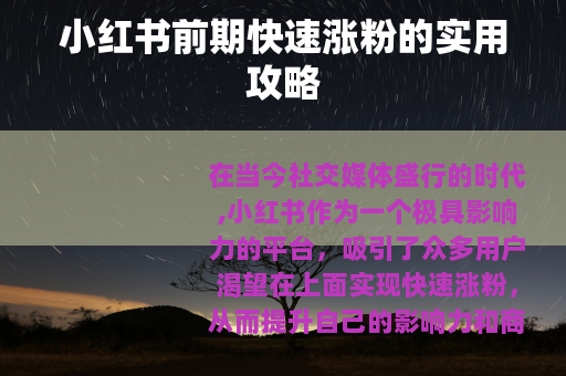 小红书前期快速涨粉的实用攻略