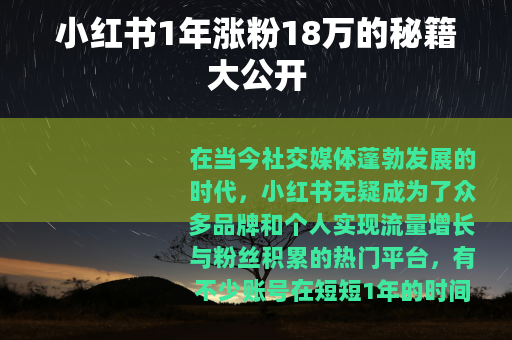 小红书1年涨粉18万的秘籍大公开