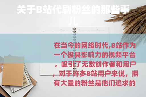 关于B站代刷粉丝的那些事儿