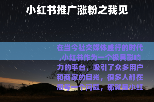 小红书推广涨粉之我见