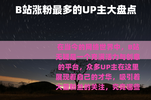 B站涨粉最多的UP主大盘点