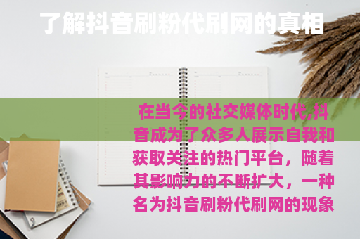 了解抖音刷粉代刷网的真相