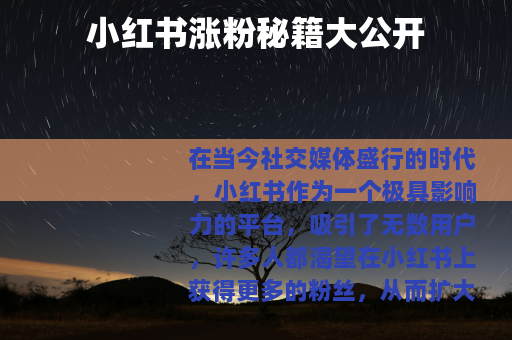 小红书涨粉秘籍大公开