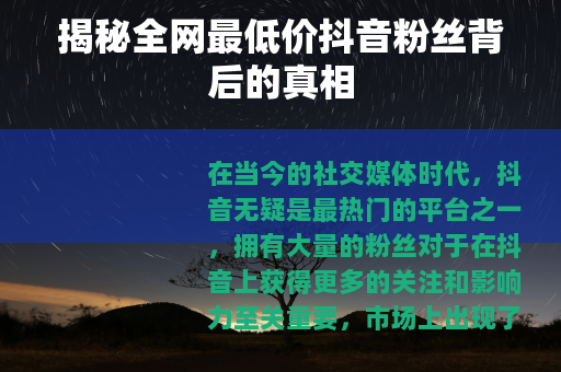 揭秘全网最低价抖音粉丝背后的真相