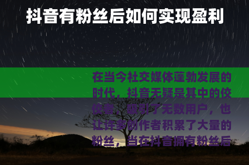 抖音有粉丝后如何实现盈利