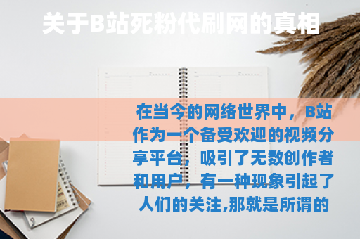 关于B站死粉代刷网的真相