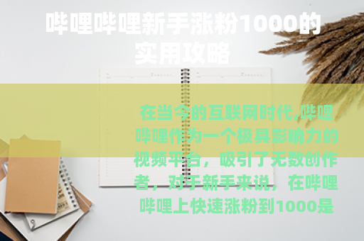 哔哩哔哩新手涨粉1000的实用攻略