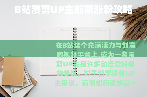 B站漫剪UP主前期涨粉攻略