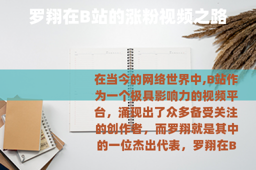 罗翔在B站的涨粉视频之路