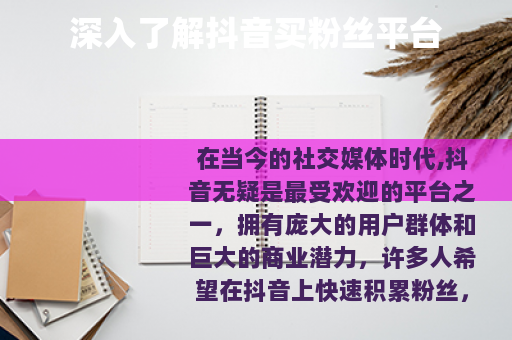 深入了解抖音买粉丝平台