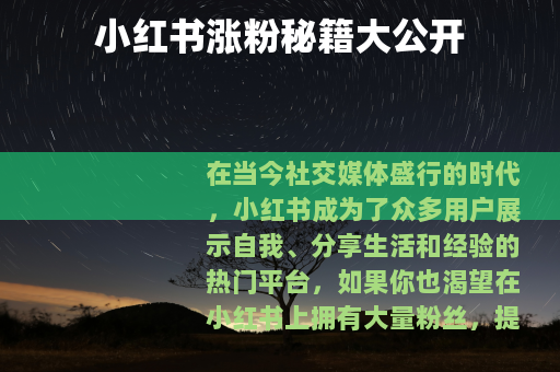 小红书涨粉秘籍大公开