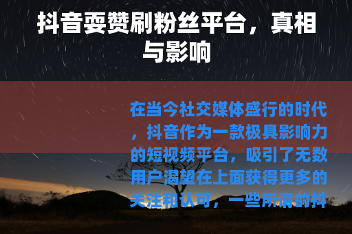 抖音耍赞刷粉丝平台，真相与影响