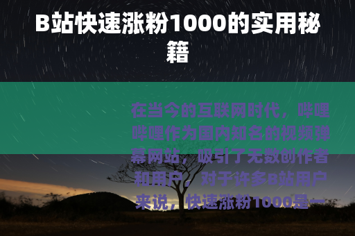 B站快速涨粉1000的实用秘籍