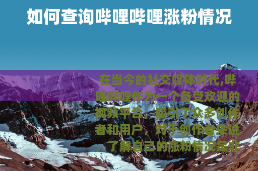 如何查询哔哩哔哩涨粉情况