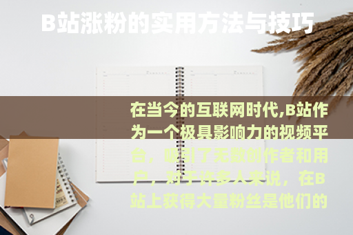 B站涨粉的实用方法与技巧