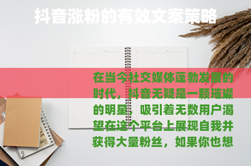 抖音涨粉的有效文案策略