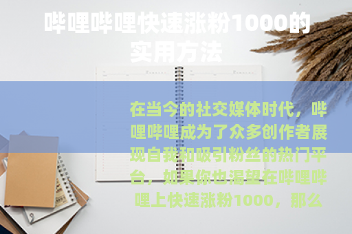 哔哩哔哩快速涨粉1000的实用方法