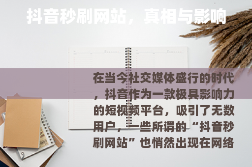 抖音秒刷网站，真相与影响