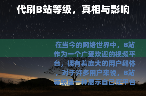 代刷B站等级，真相与影响