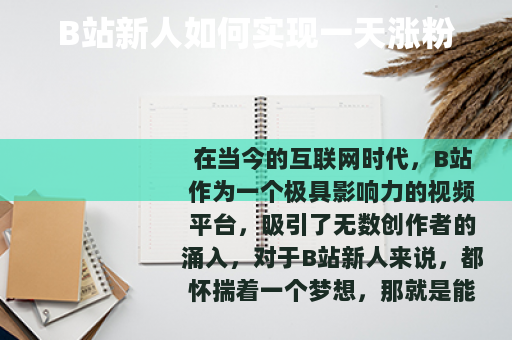 B站新人如何实现一天涨粉