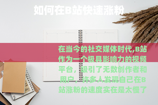 如何在B站快速涨粉