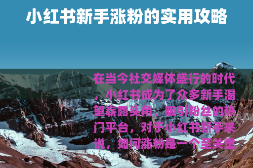 小红书新手涨粉的实用攻略