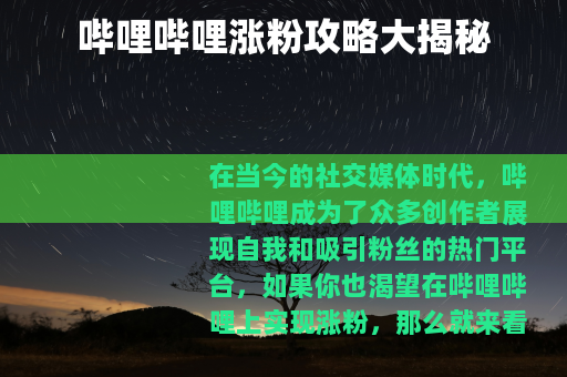 哔哩哔哩涨粉攻略大揭秘