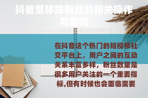 抖音里移除粉丝的相关操作与影响