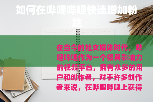 如何在哔哩哔哩快速增加粉丝