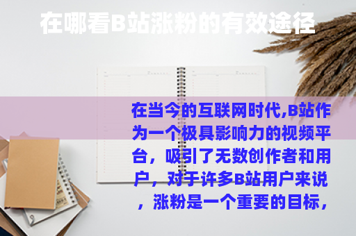 在哪看B站涨粉的有效途径