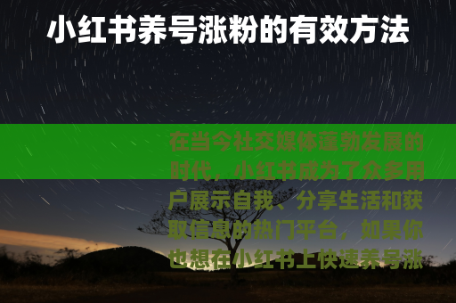 小红书养号涨粉的有效方法