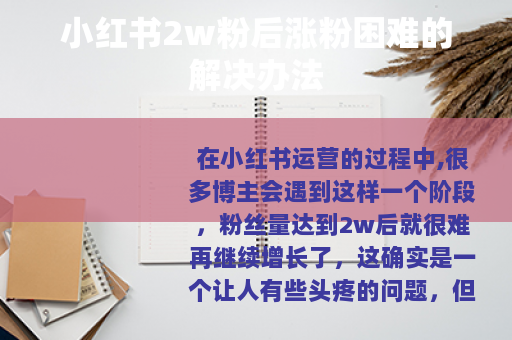 小红书2w粉后涨粉困难的解决办法