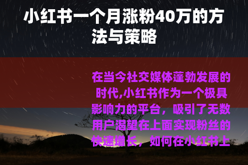 小红书一个月涨粉40万的方法与策略