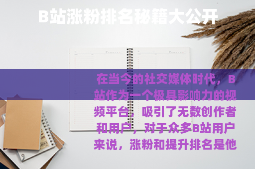 B站涨粉排名秘籍大公开