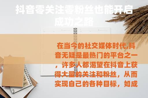 抖音零关注零粉丝也能开启成功之路