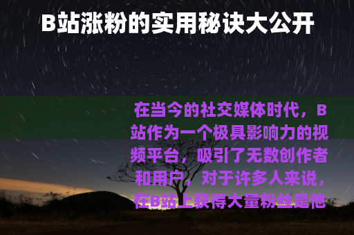 B站涨粉的实用秘诀大公开