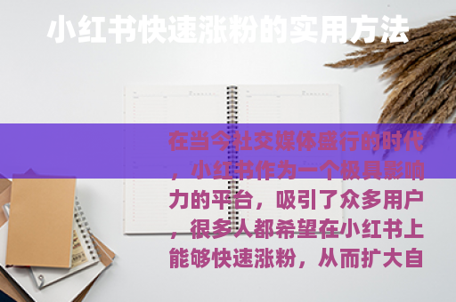 小红书快速涨粉的实用方法