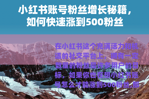 小红书账号粉丝增长秘籍，如何快速涨到500粉丝