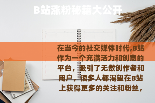 B站涨粉秘籍大公开