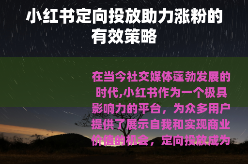 小红书定向投放助力涨粉的有效策略