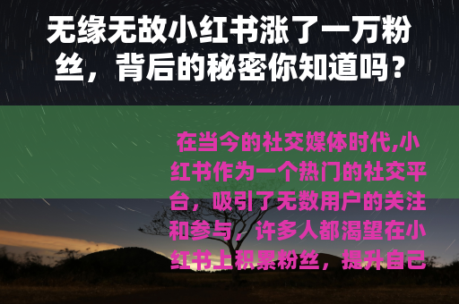 无缘无故小红书涨了一万粉丝，背后的秘密你知道吗？