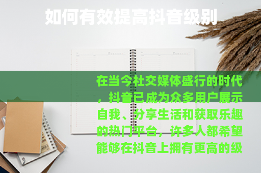 如何有效提高抖音级别