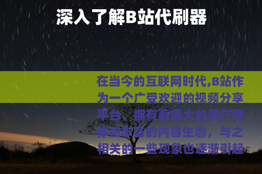 深入了解B站代刷器