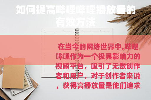 如何提高哔哩哔哩播放量的有效方法