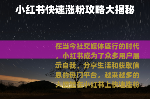 小红书快速涨粉攻略大揭秘