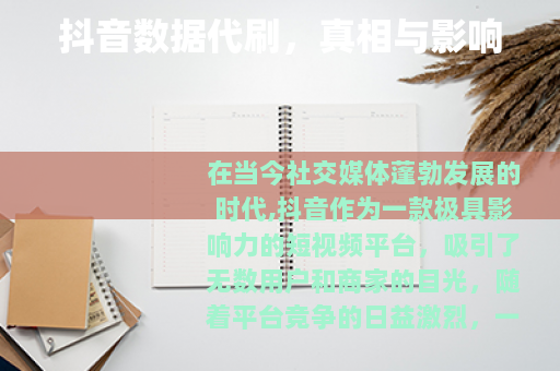 抖音数据代刷，真相与影响