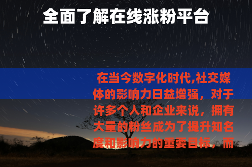 全面了解在线涨粉平台