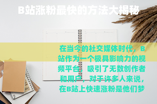 B站涨粉最快的方法大揭秘