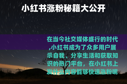 小红书涨粉秘籍大公开