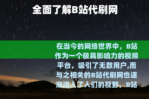 全面了解B站代刷网